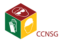 CCNSG